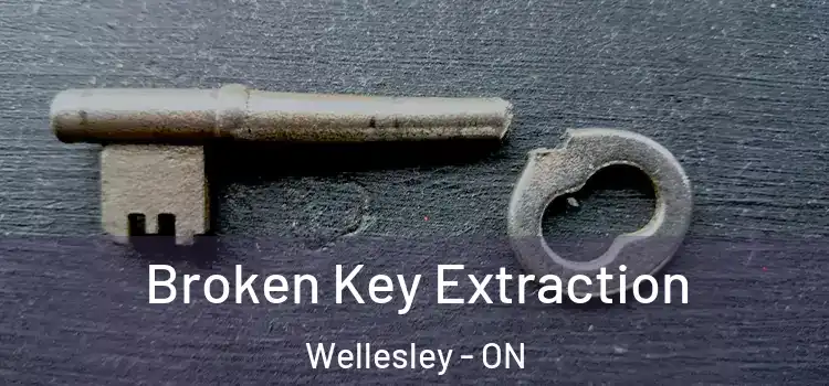  Broken Key Extraction Wellesley - ON