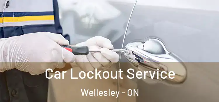 Car Lockout Service Wellesley - ON