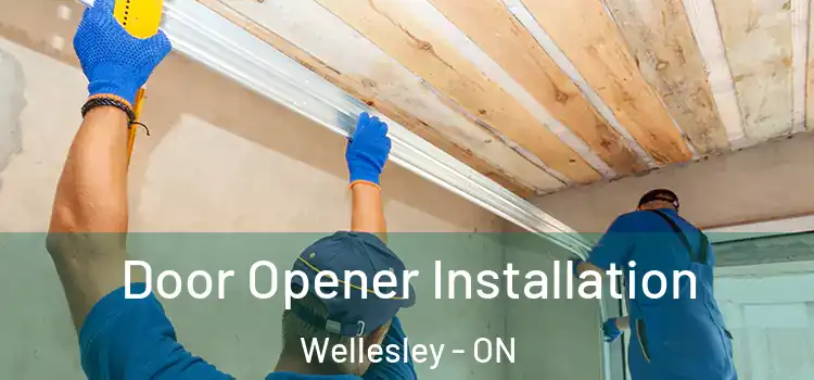  Door Opener Installation Wellesley - ON