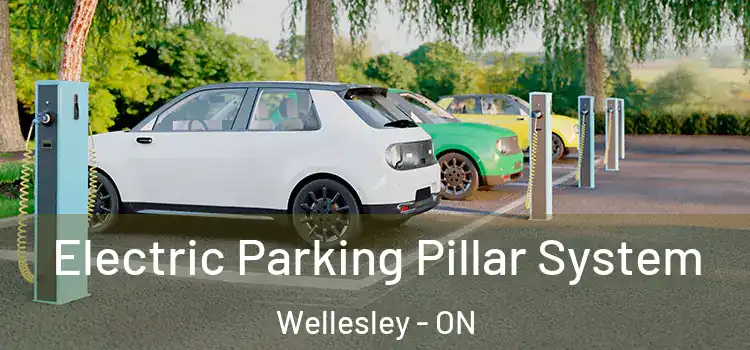  Electric Parking Pillar System Wellesley - ON