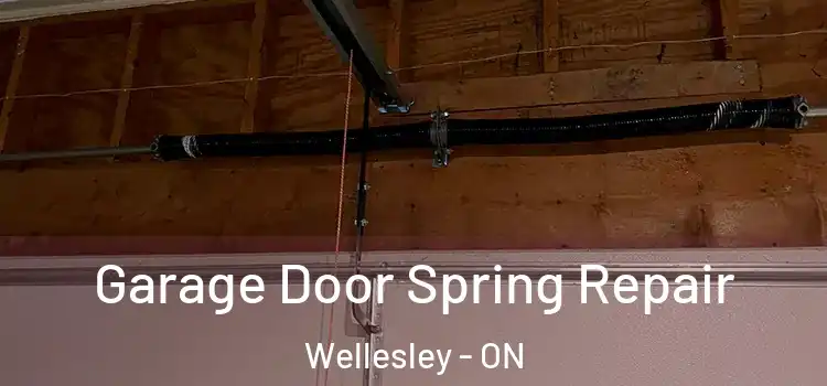  Garage Door Spring Repair Wellesley - ON