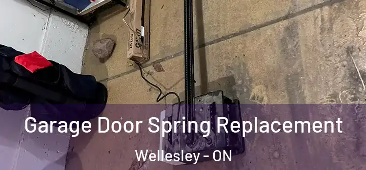  Garage Door Spring Replacement Wellesley - ON