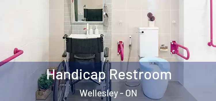 Handicap Restroom Wellesley - ON