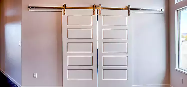 Glass Barn Door with Installation Hardware Kit Wellesley