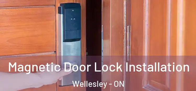  Magnetic Door Lock Installation Wellesley - ON