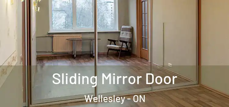  Sliding Mirror Door Wellesley - ON